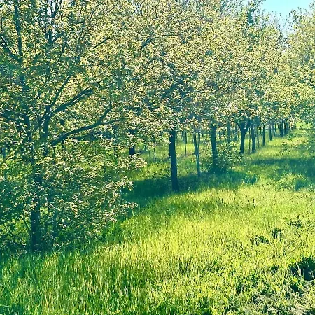 And Assisi Art Culture And Spirituality