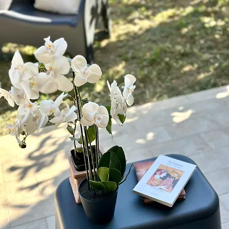 Apartament And Assisi Art Culture And Spirituality