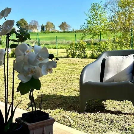 And Assisi Art Culture And Spirituality * Perugia